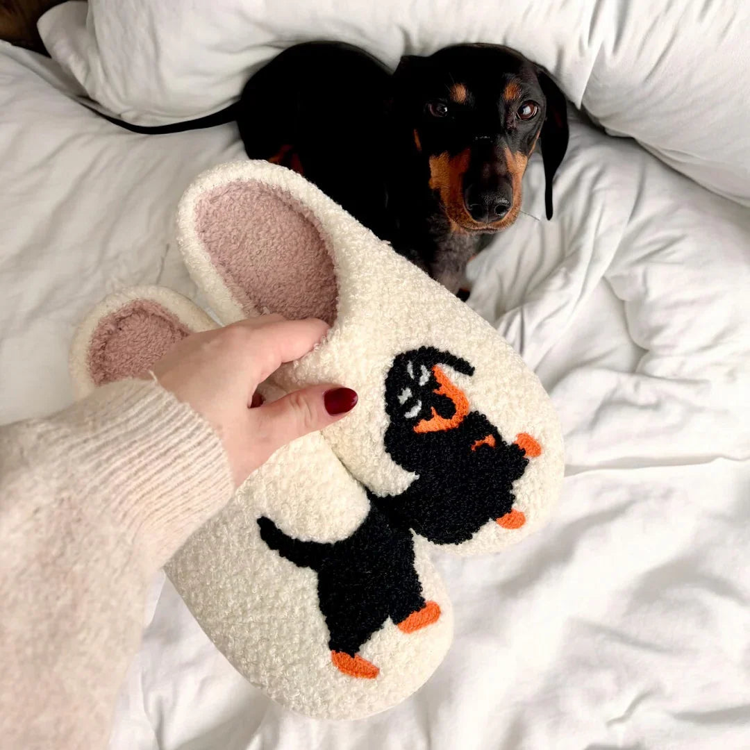CosyPaws | Warme voeten met je favoriete beestjes